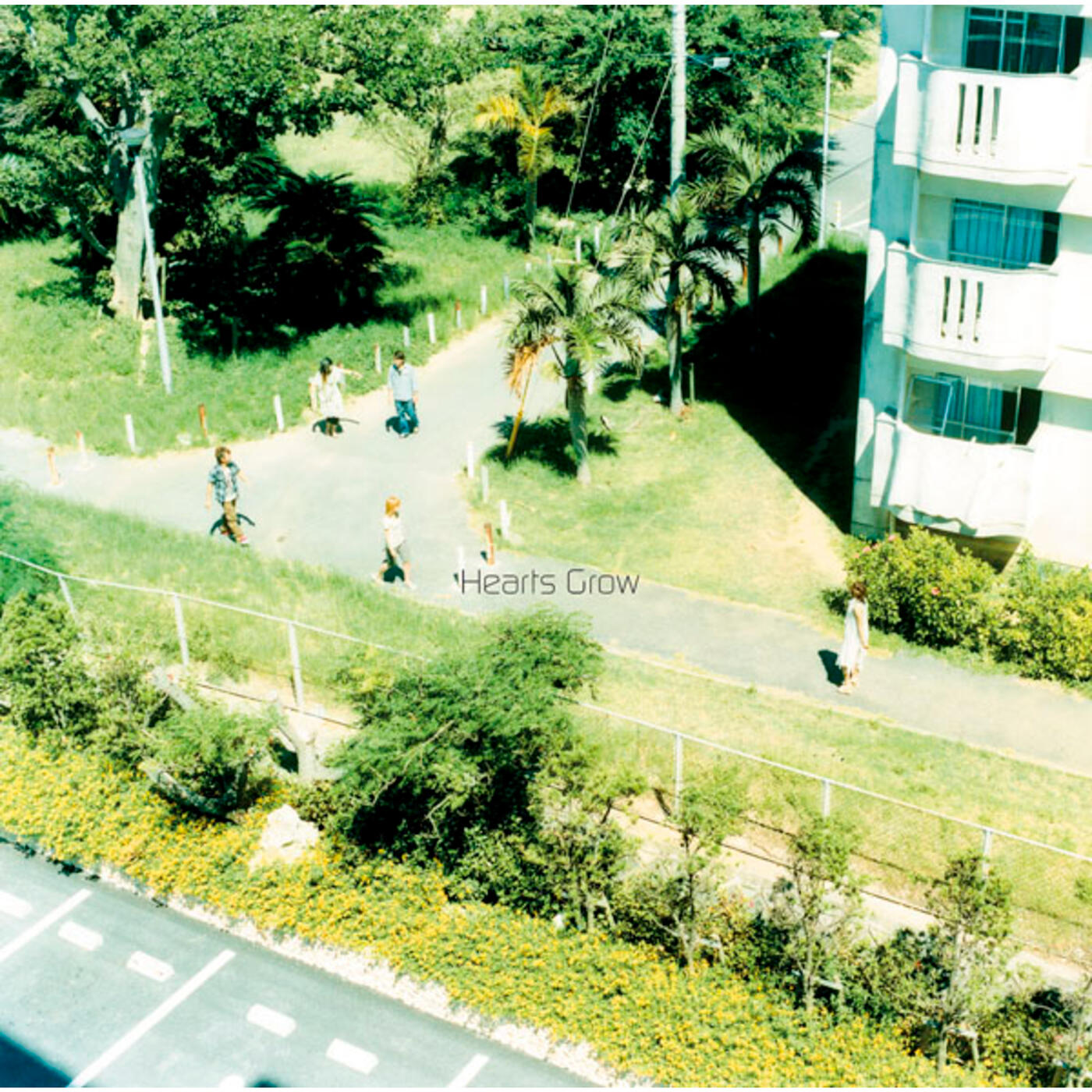 Track Image