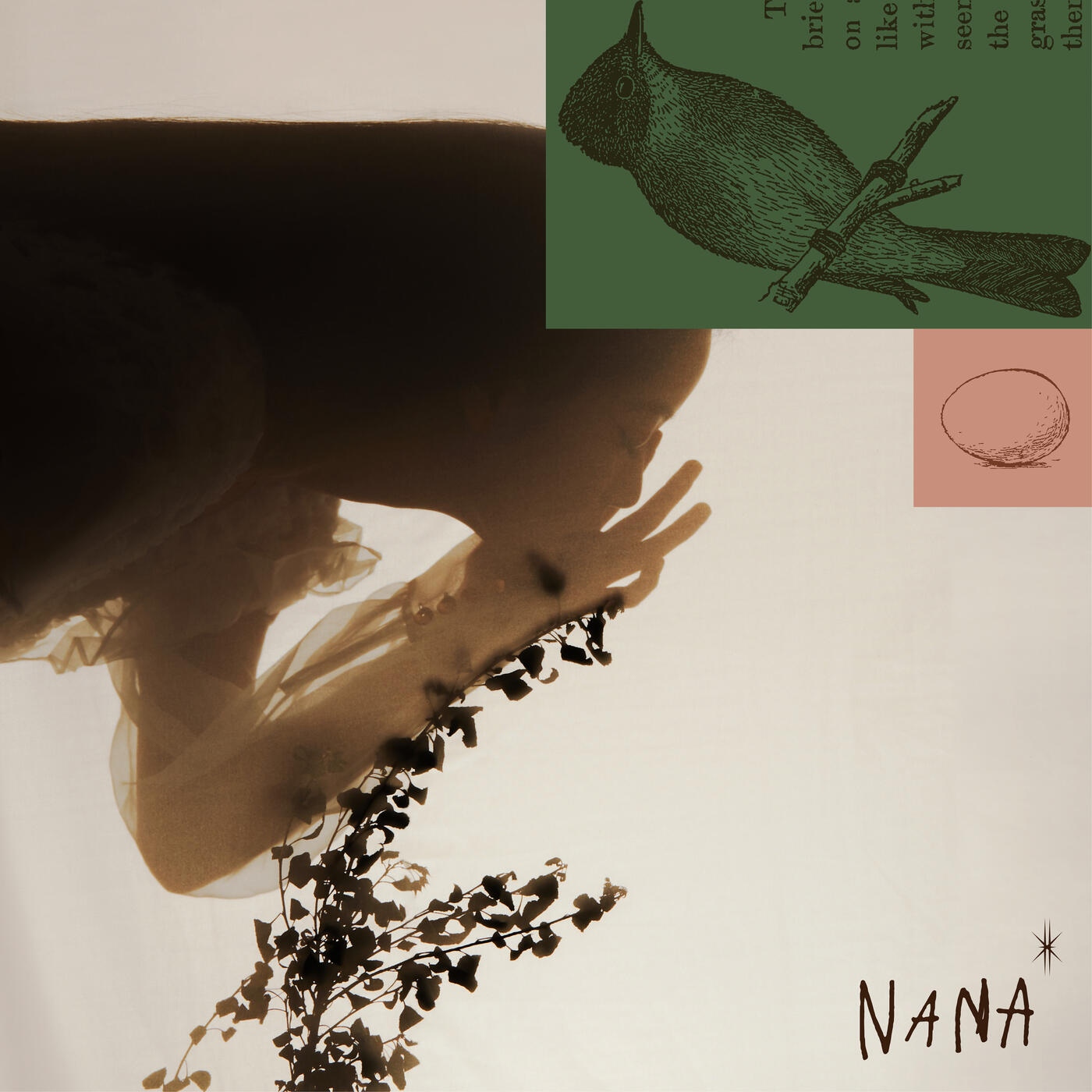 Track Image