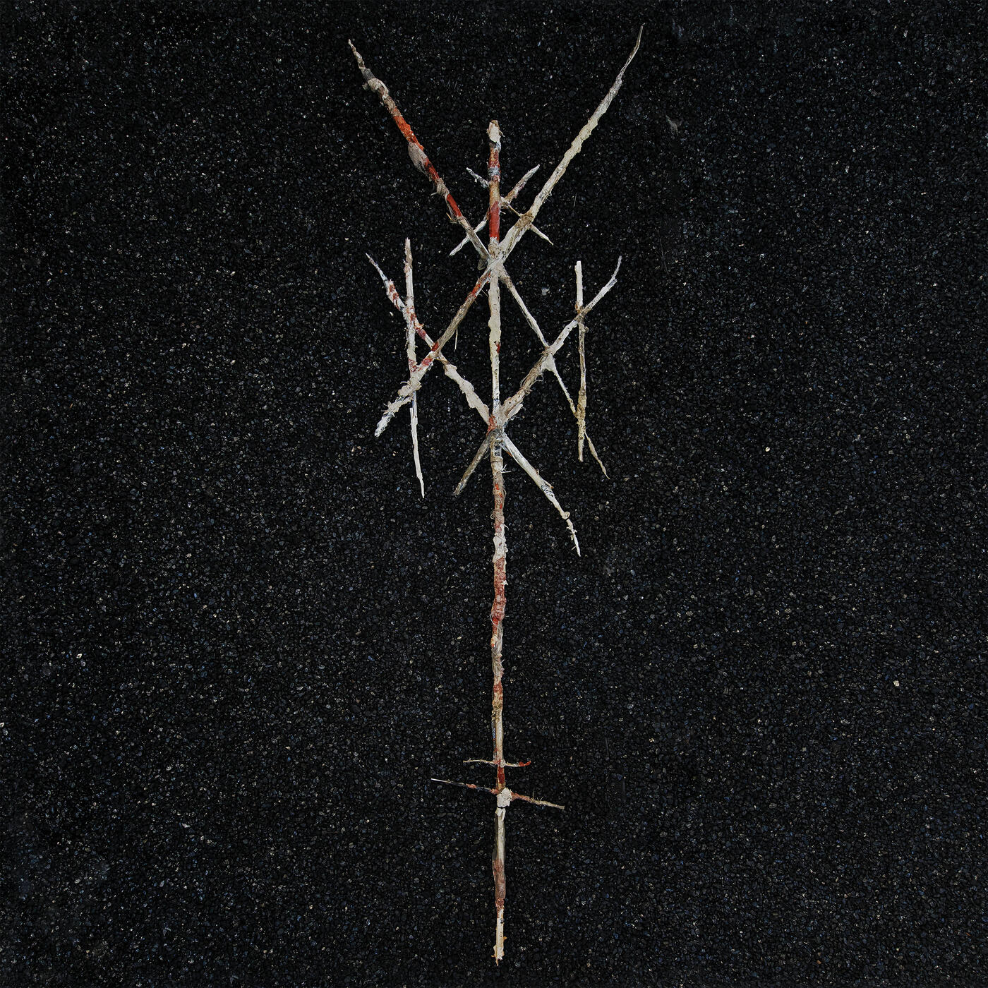 Track Image