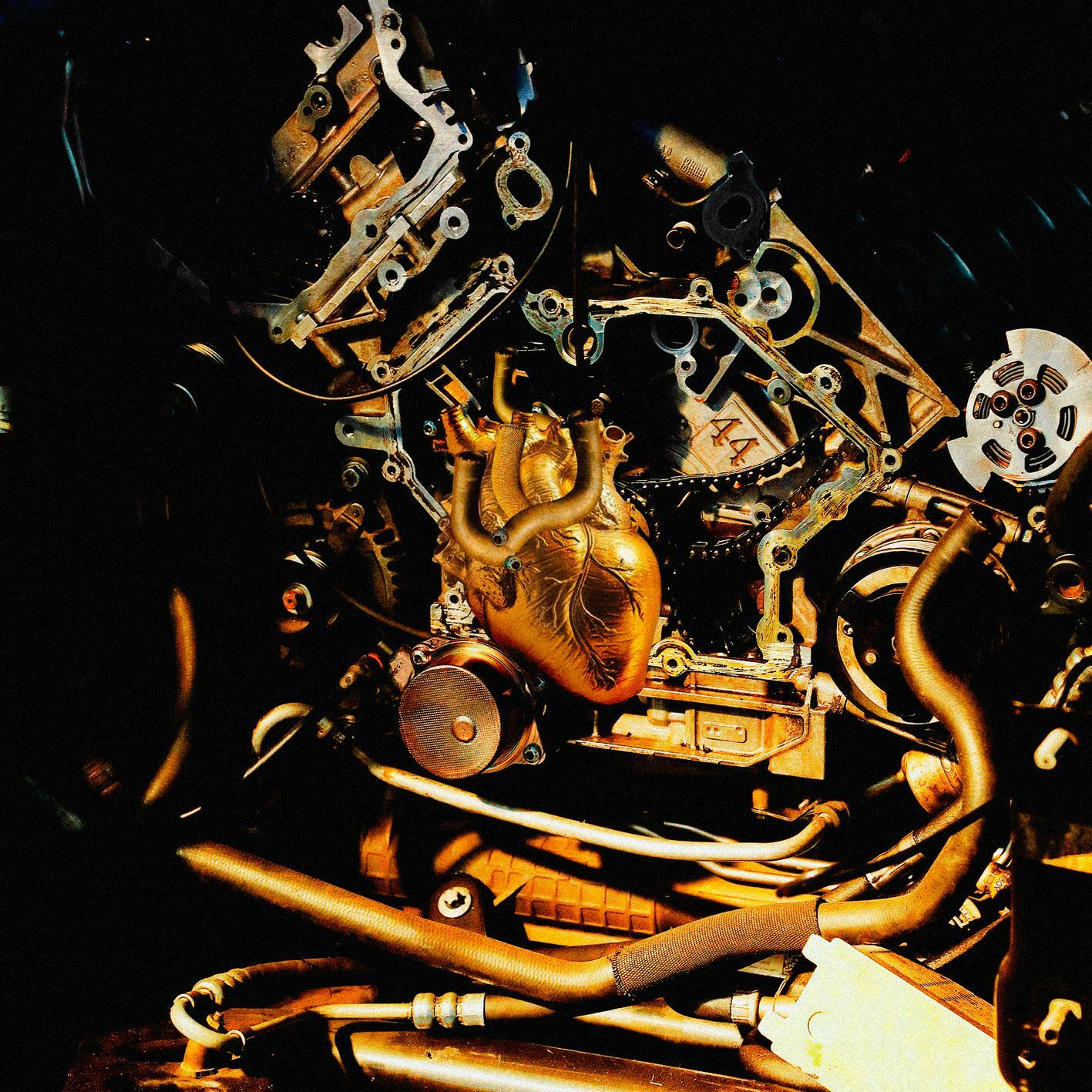 Track Image