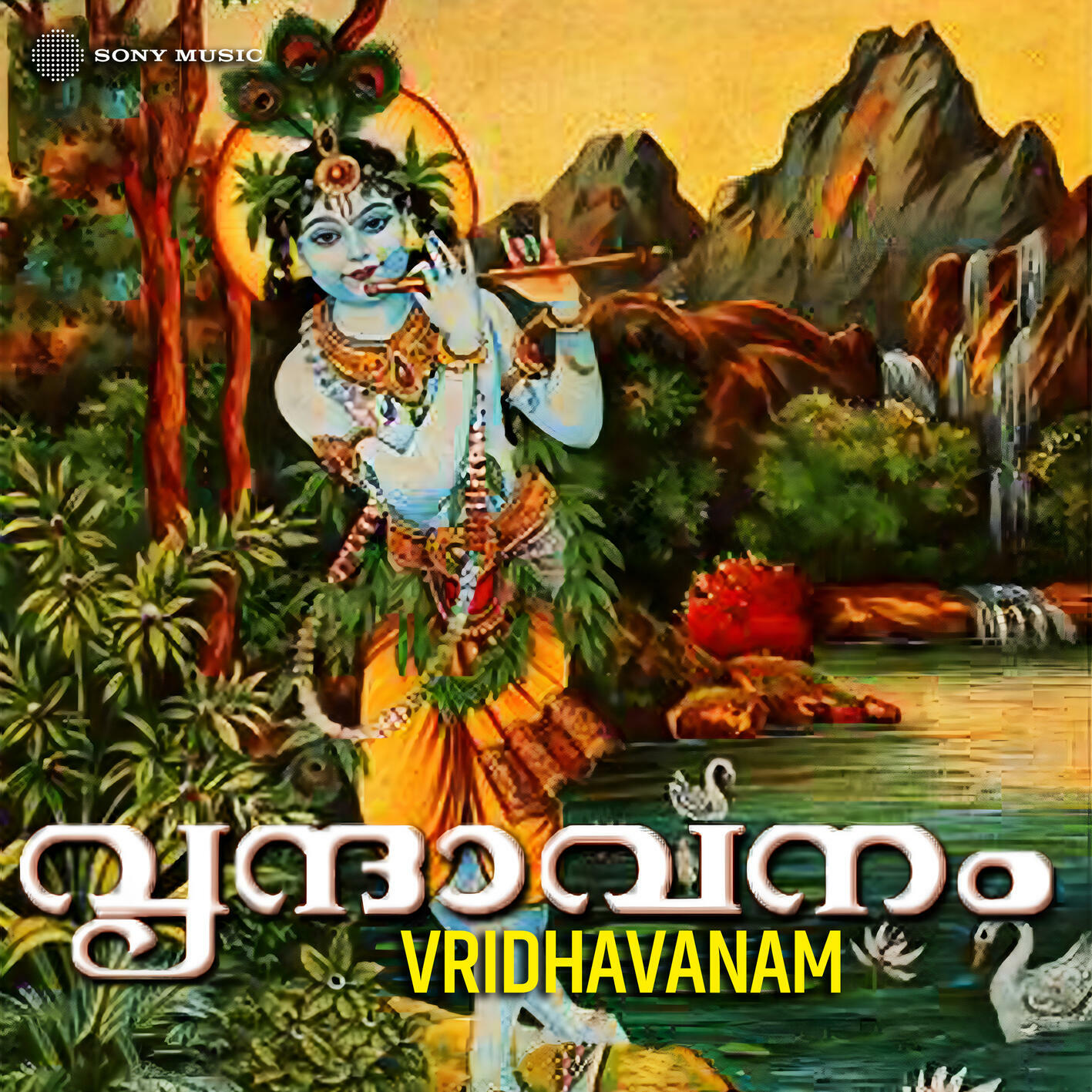 Track Image