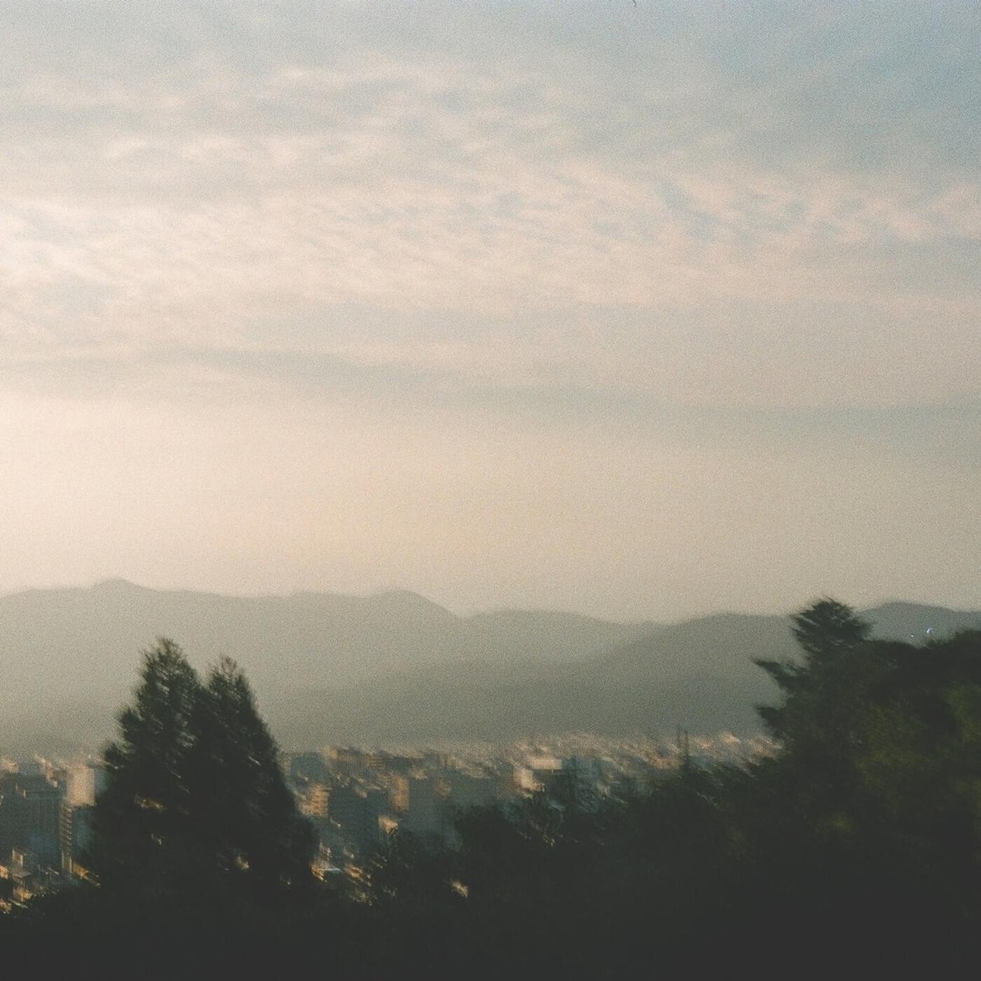 Track Image