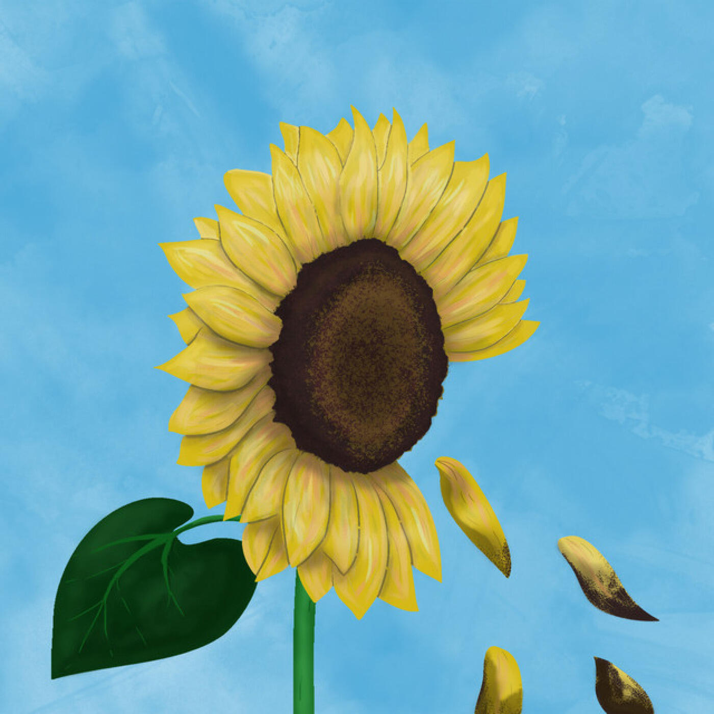Track Image