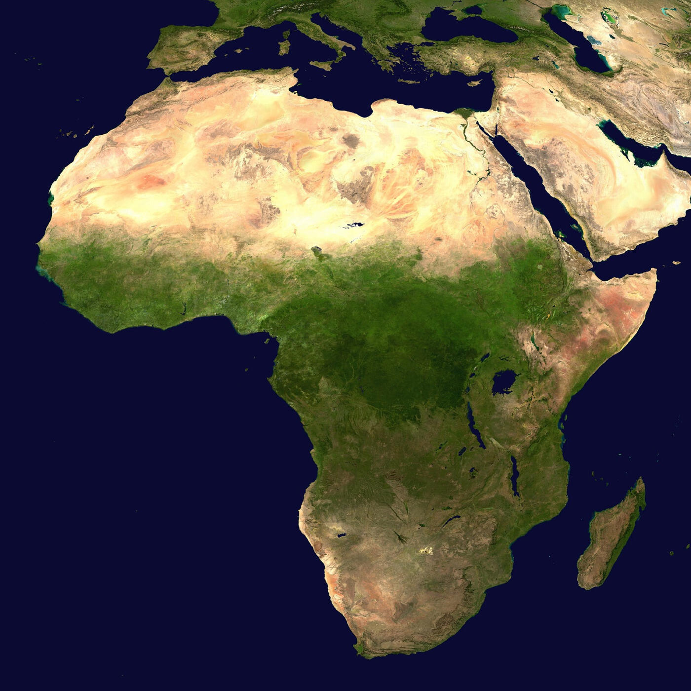 Track Image
