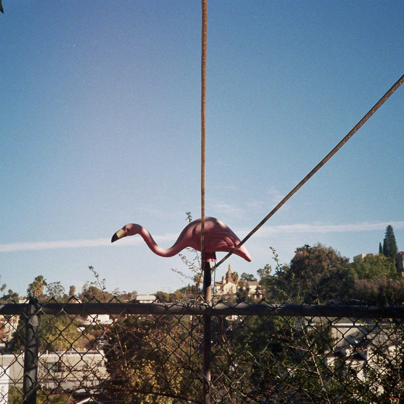 Track Image