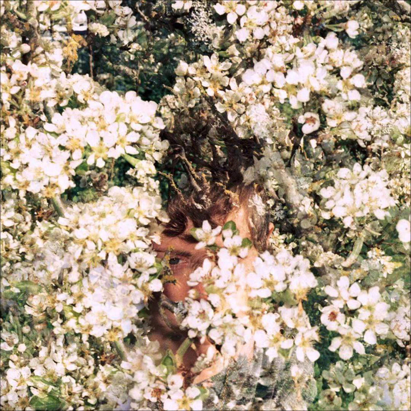 Track Image
