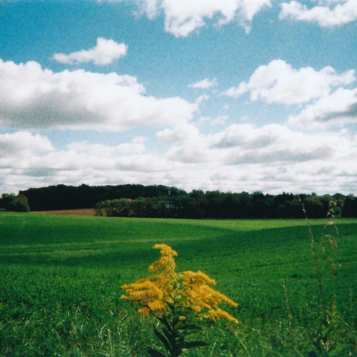 Track Image