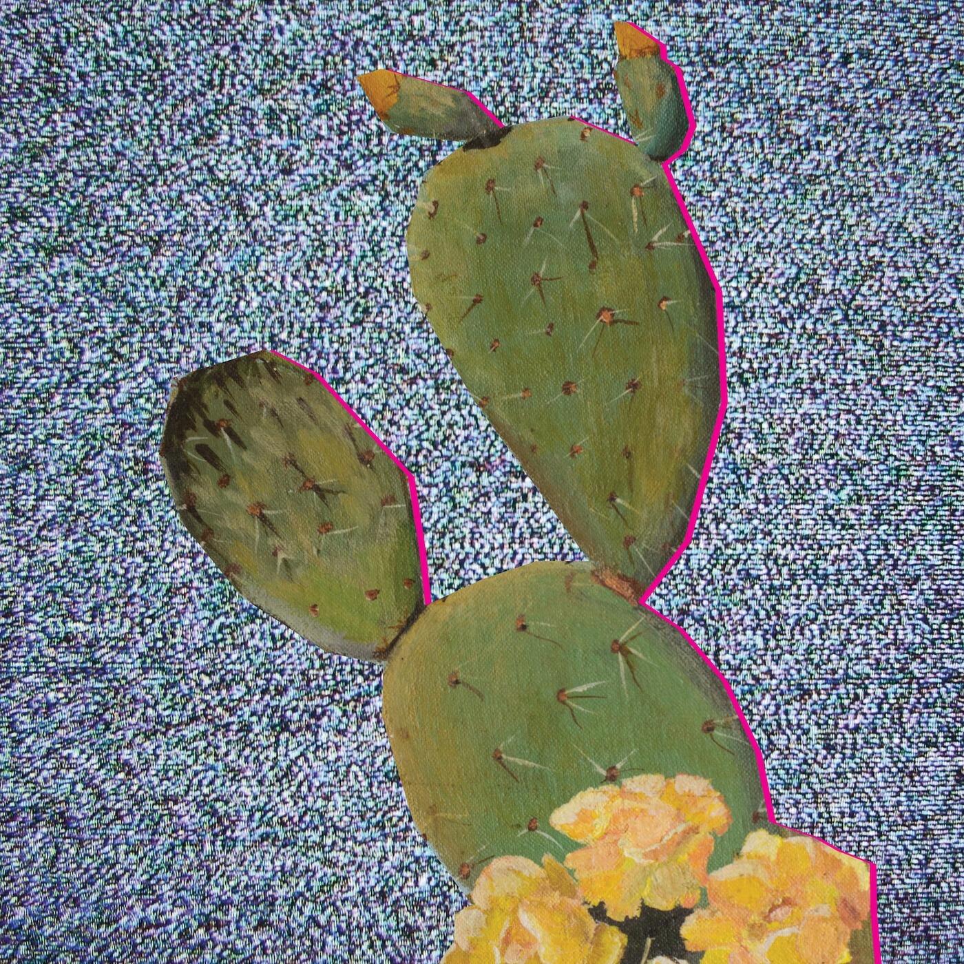 Track Image