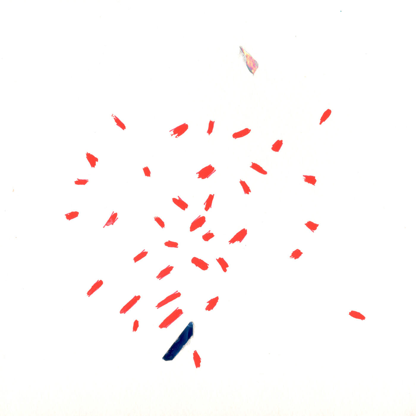 Track Image