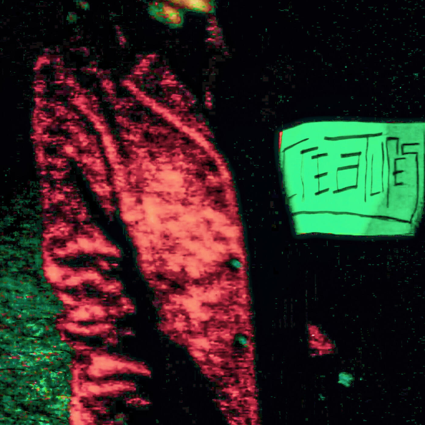 Track Image