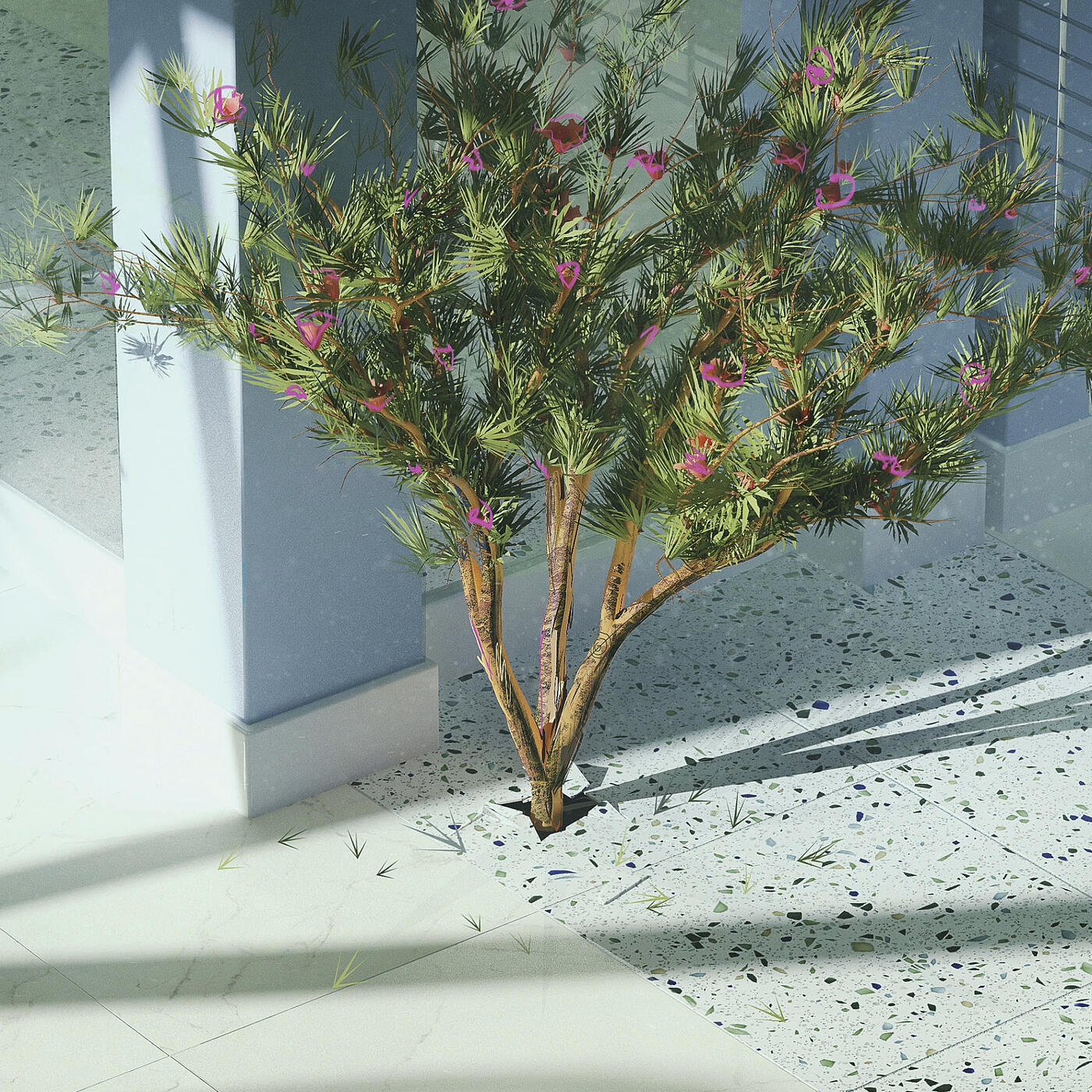 Track Image