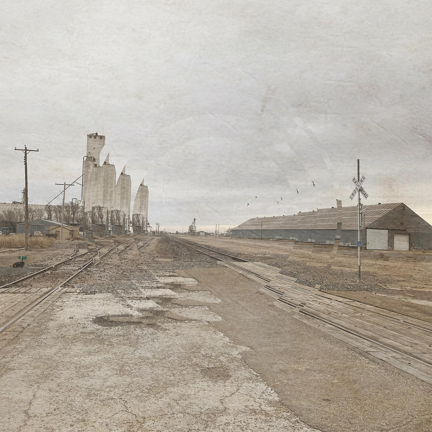 Track Image