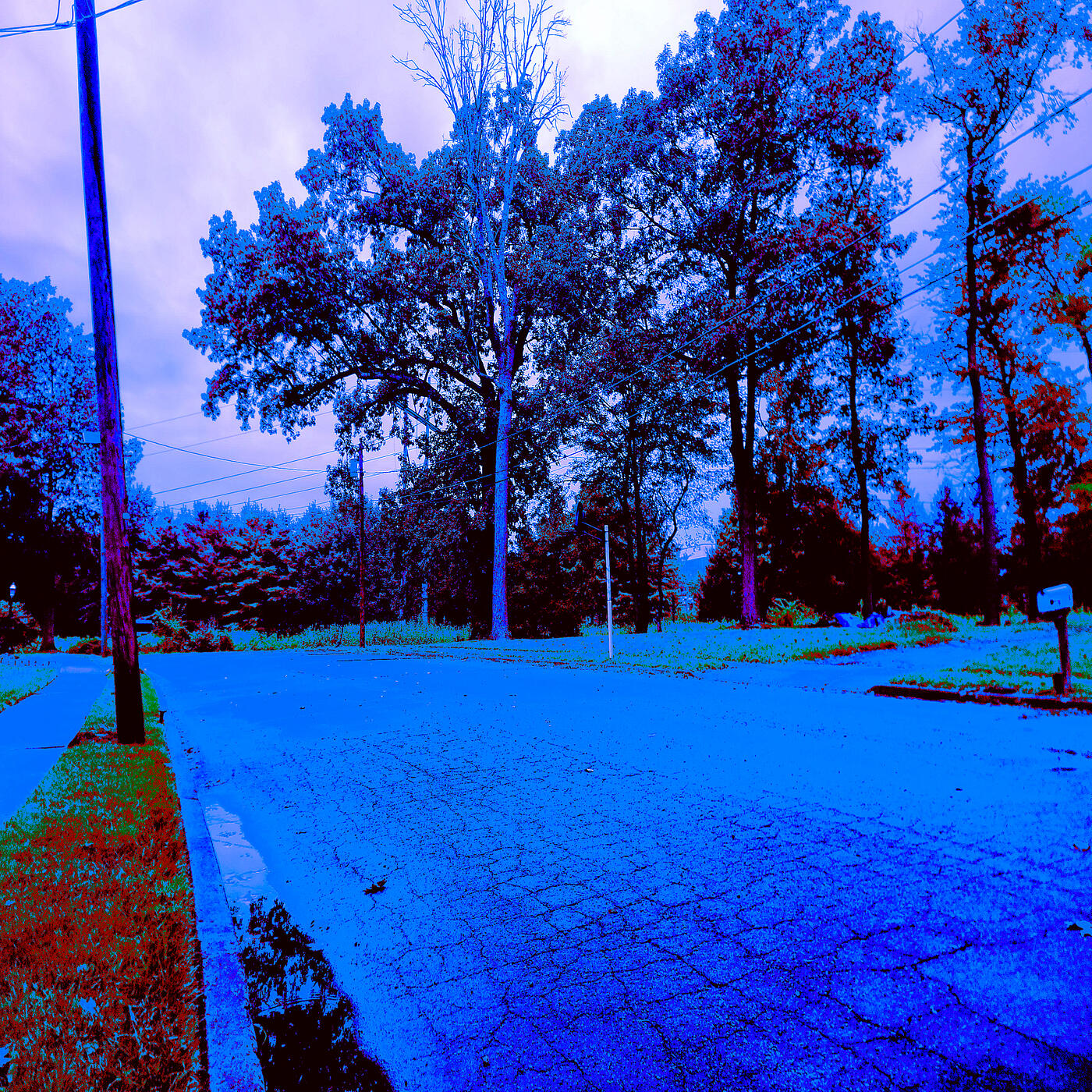 Track Image