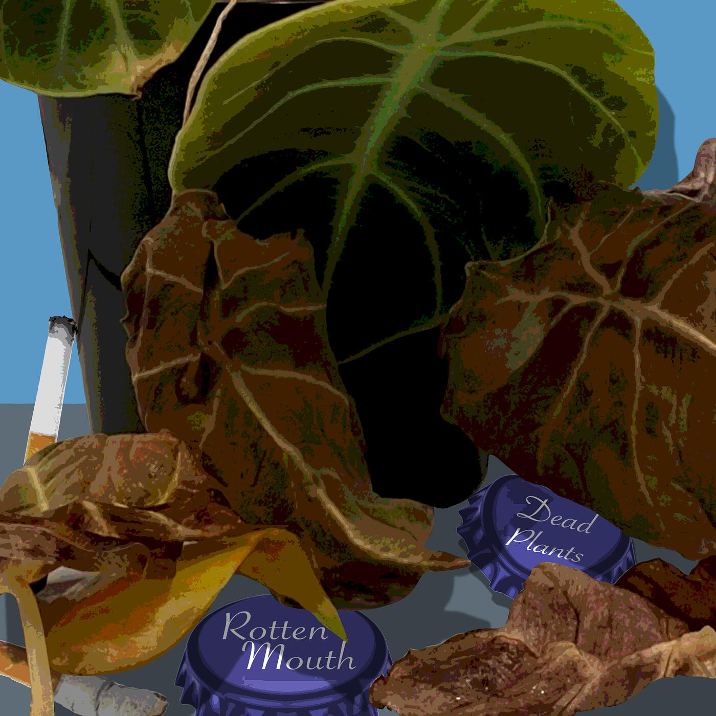 Track Image