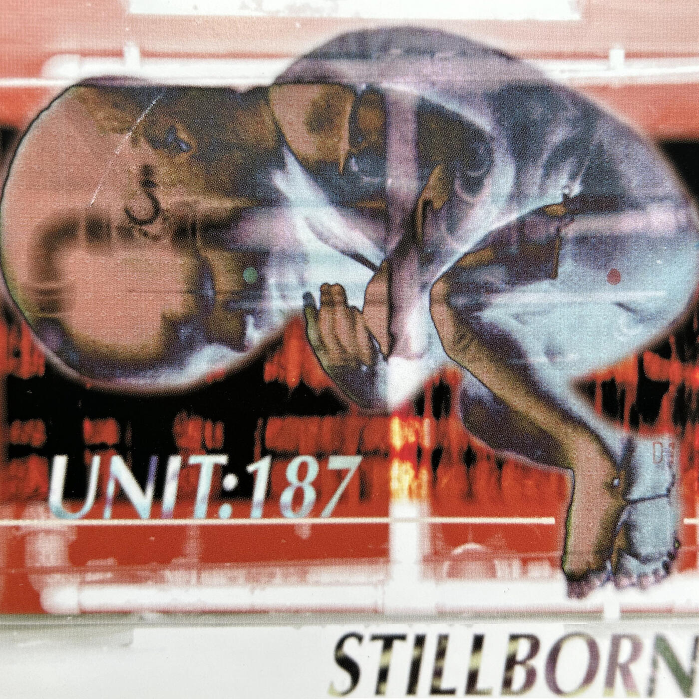 Track Image