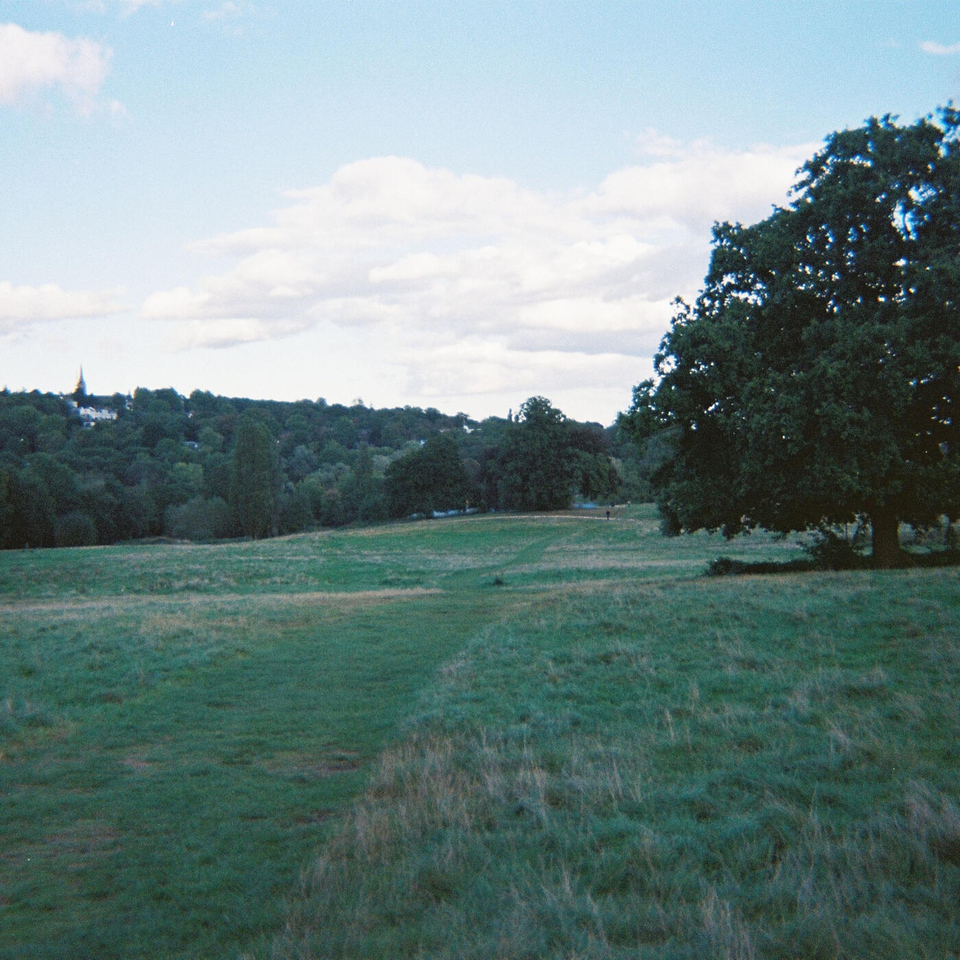 Track Image