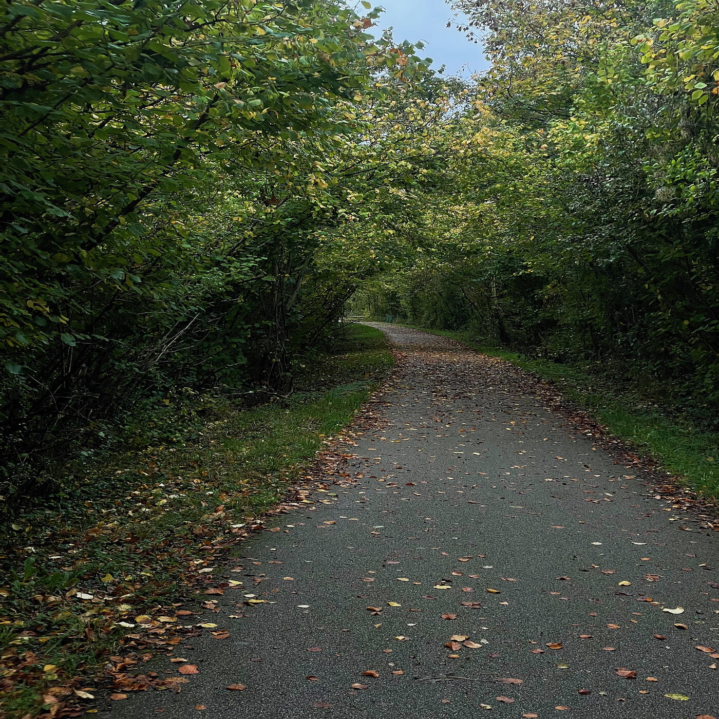 Track Image