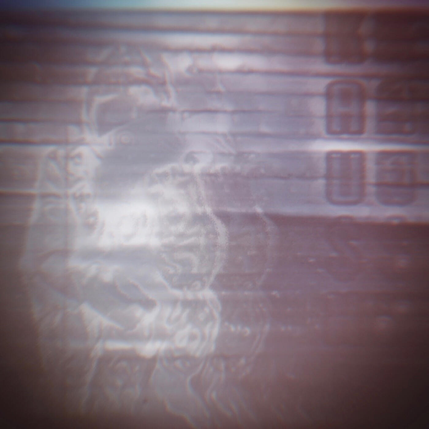 Track Image
