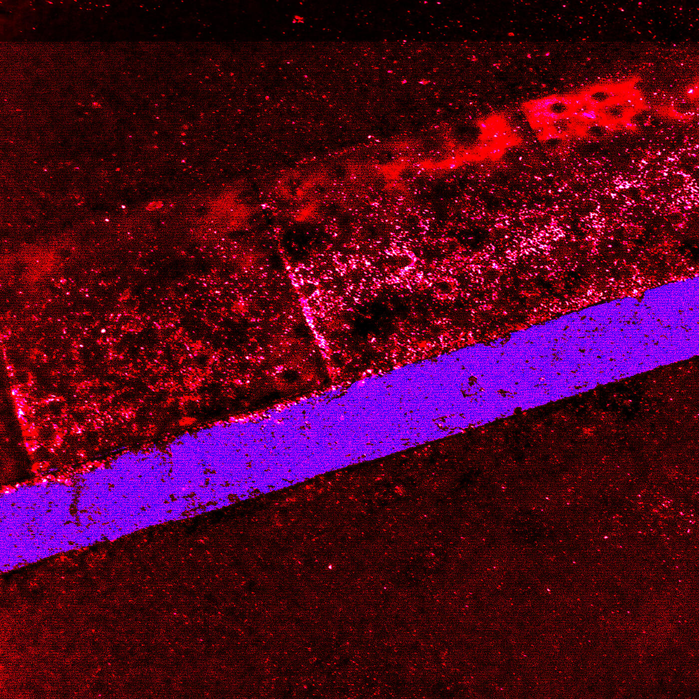 Track Image