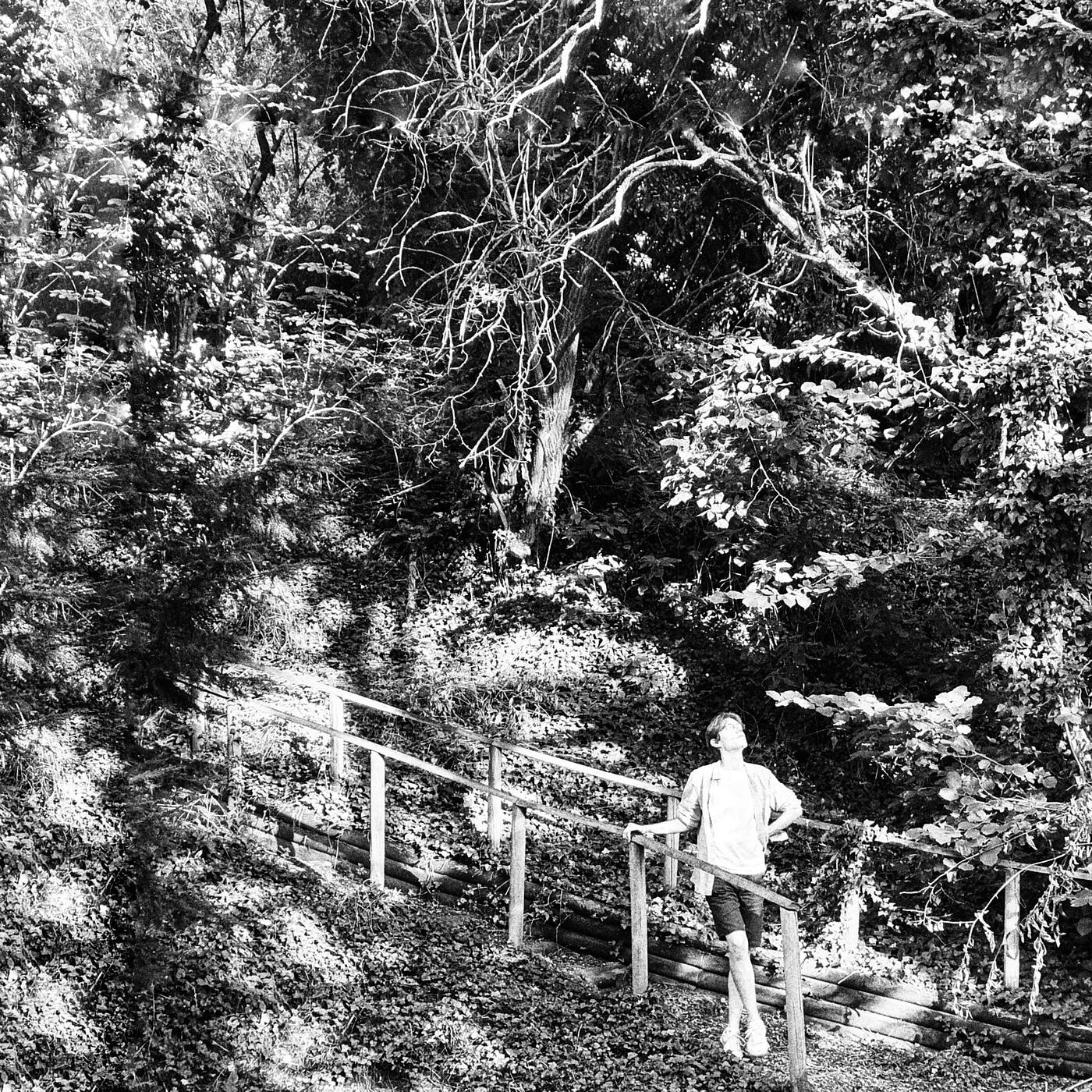 Track Image