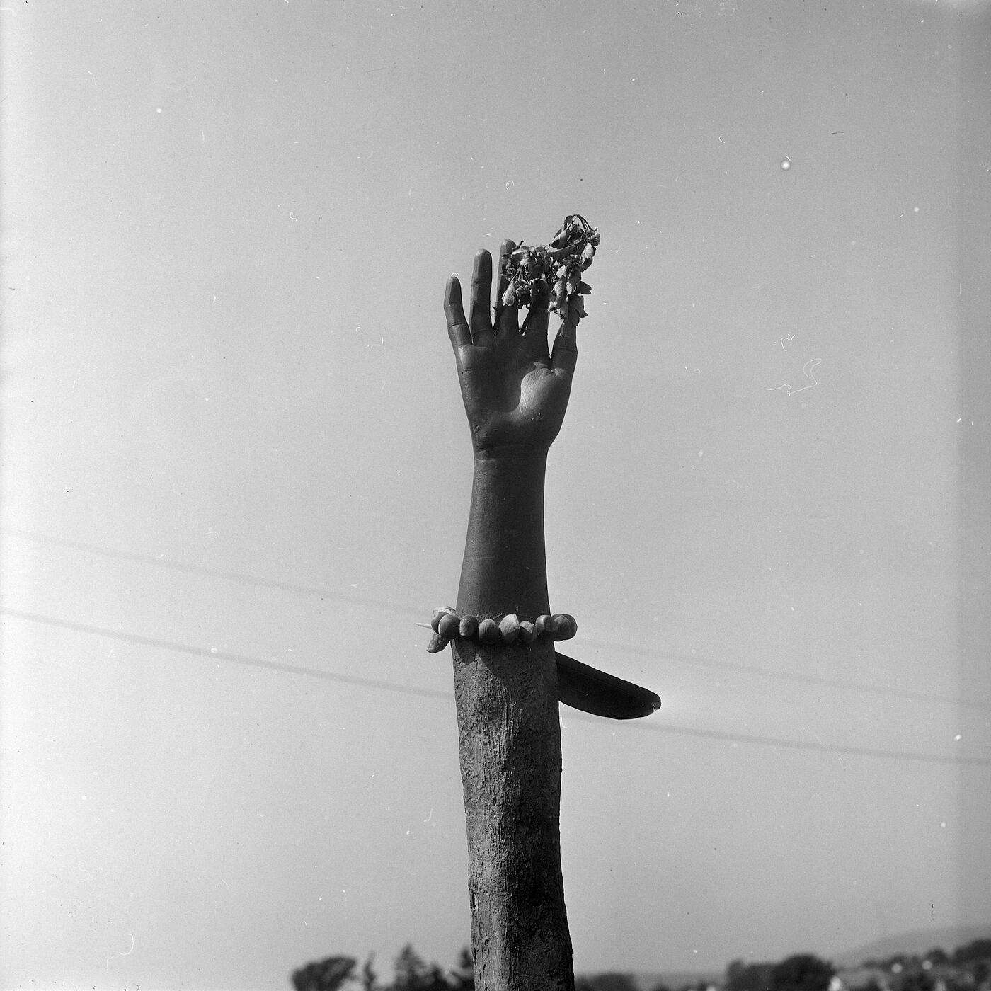Track Image