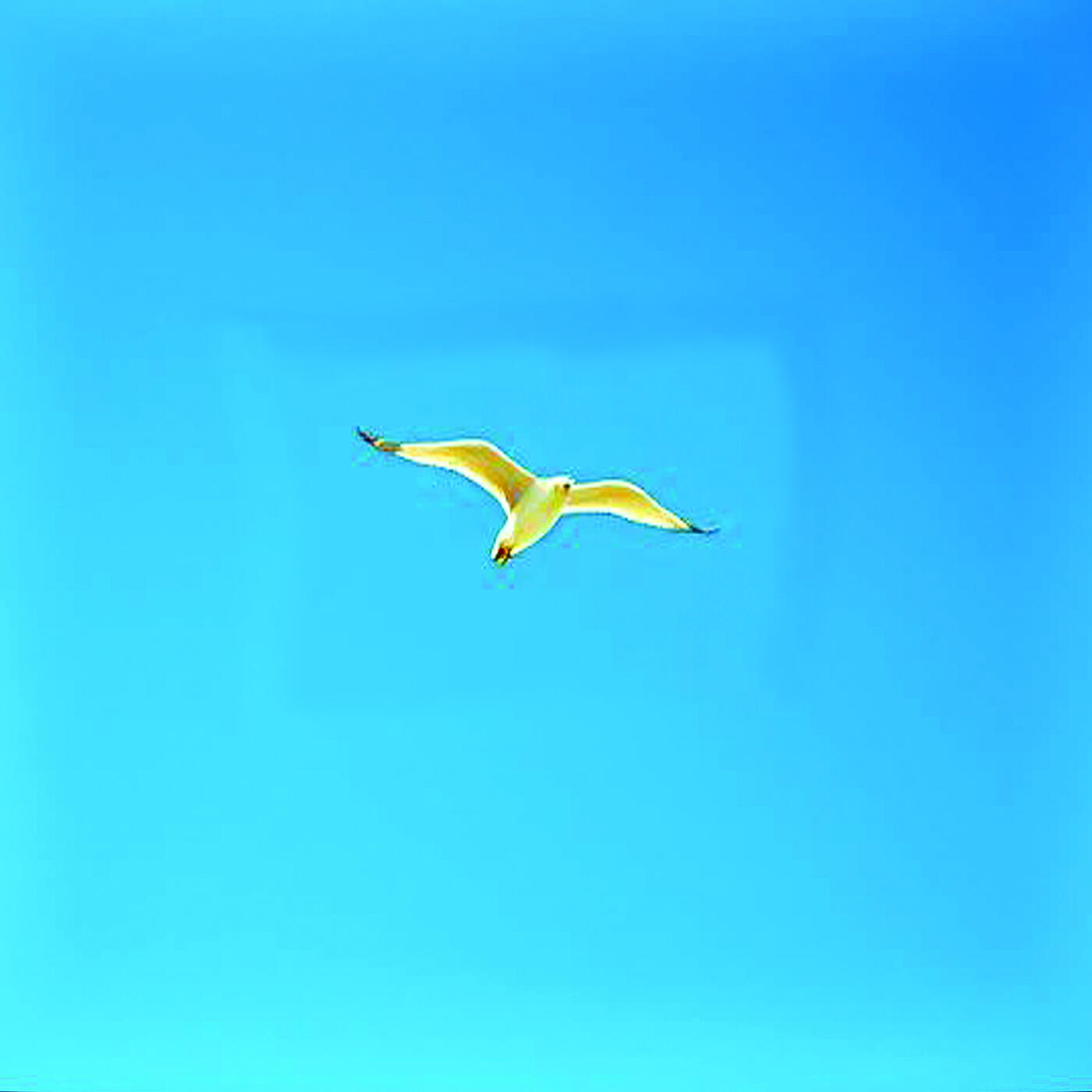 Track Image