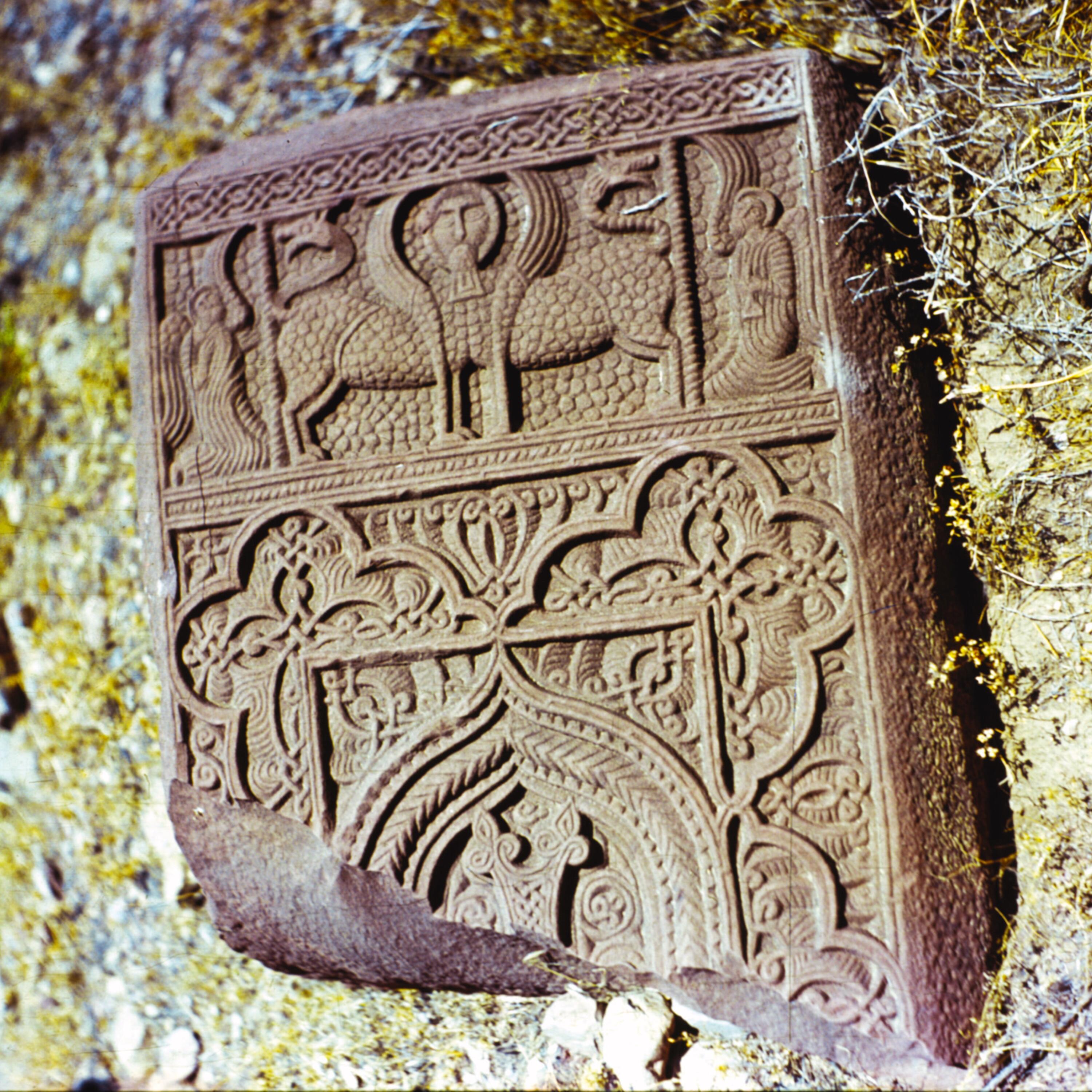 Track Image
