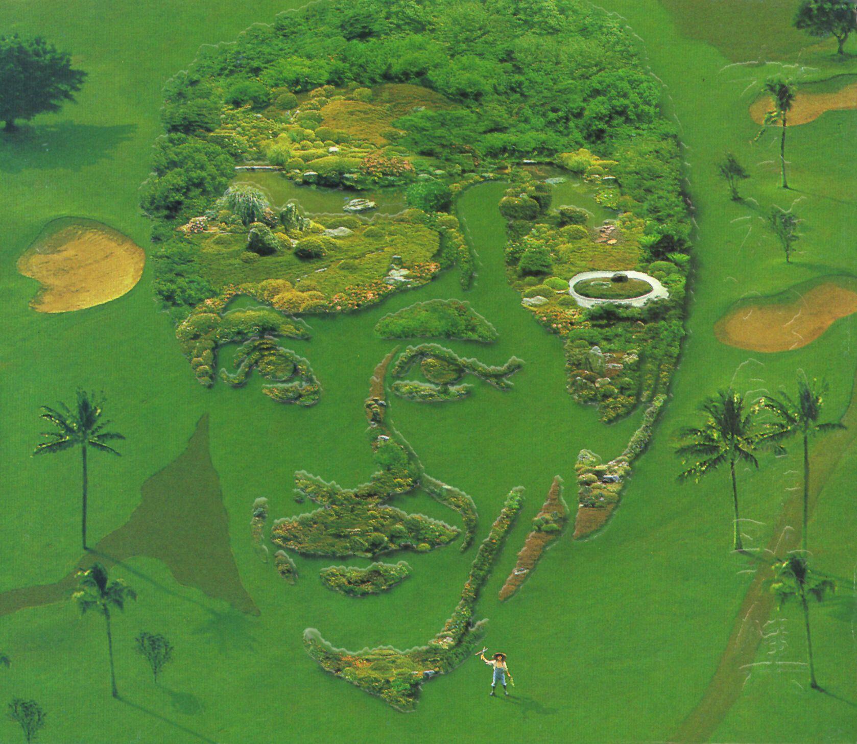 Track Image