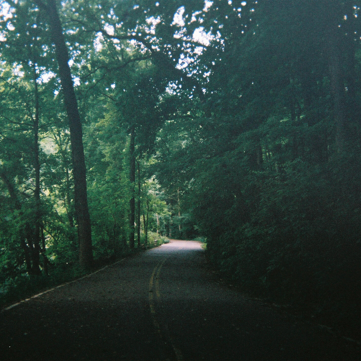 Track Image
