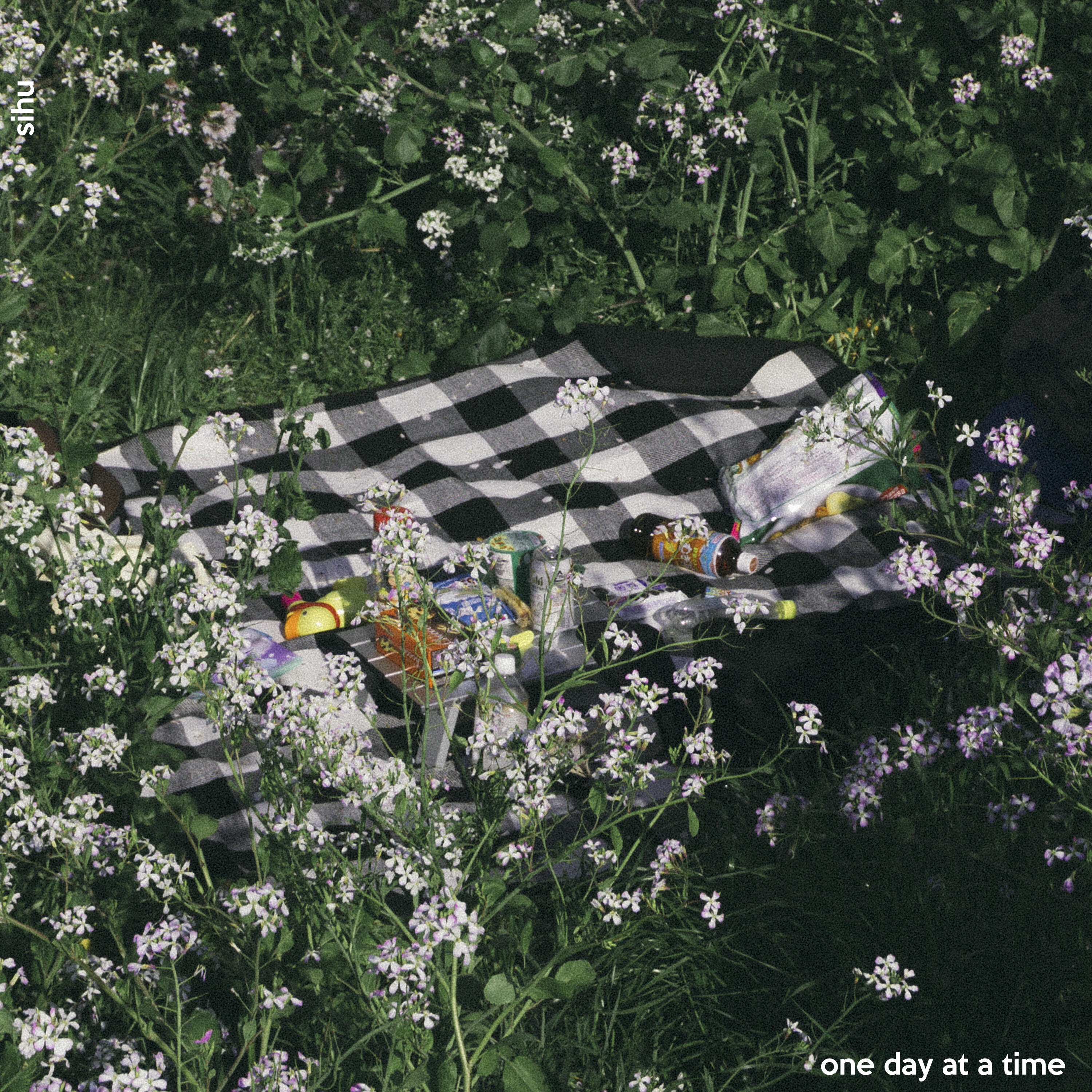 Track Image