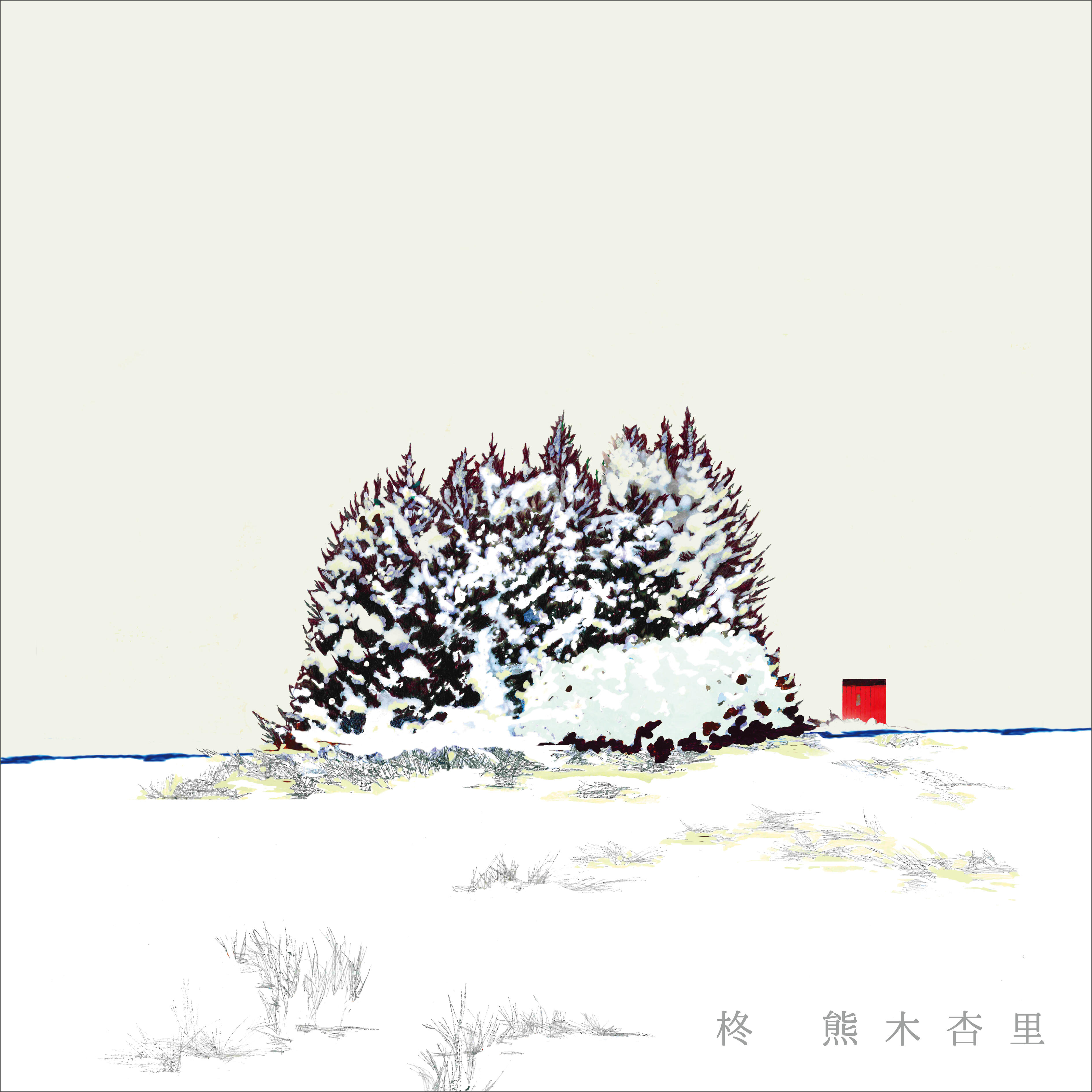 Track Image