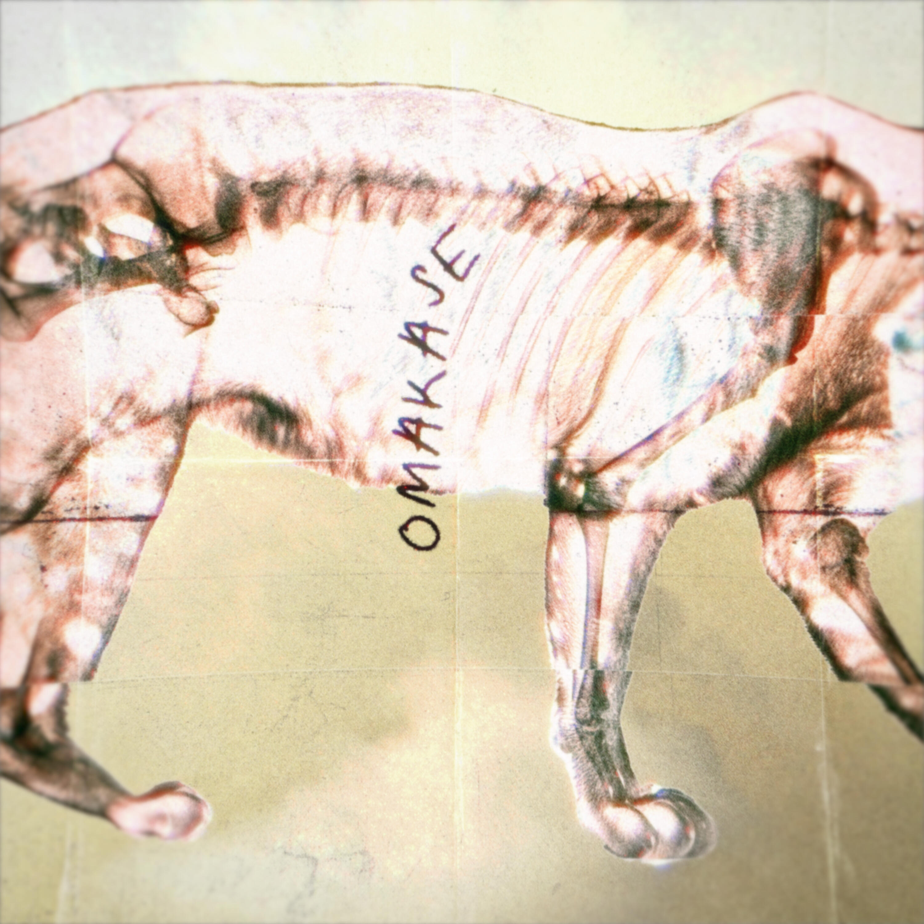 Track Image