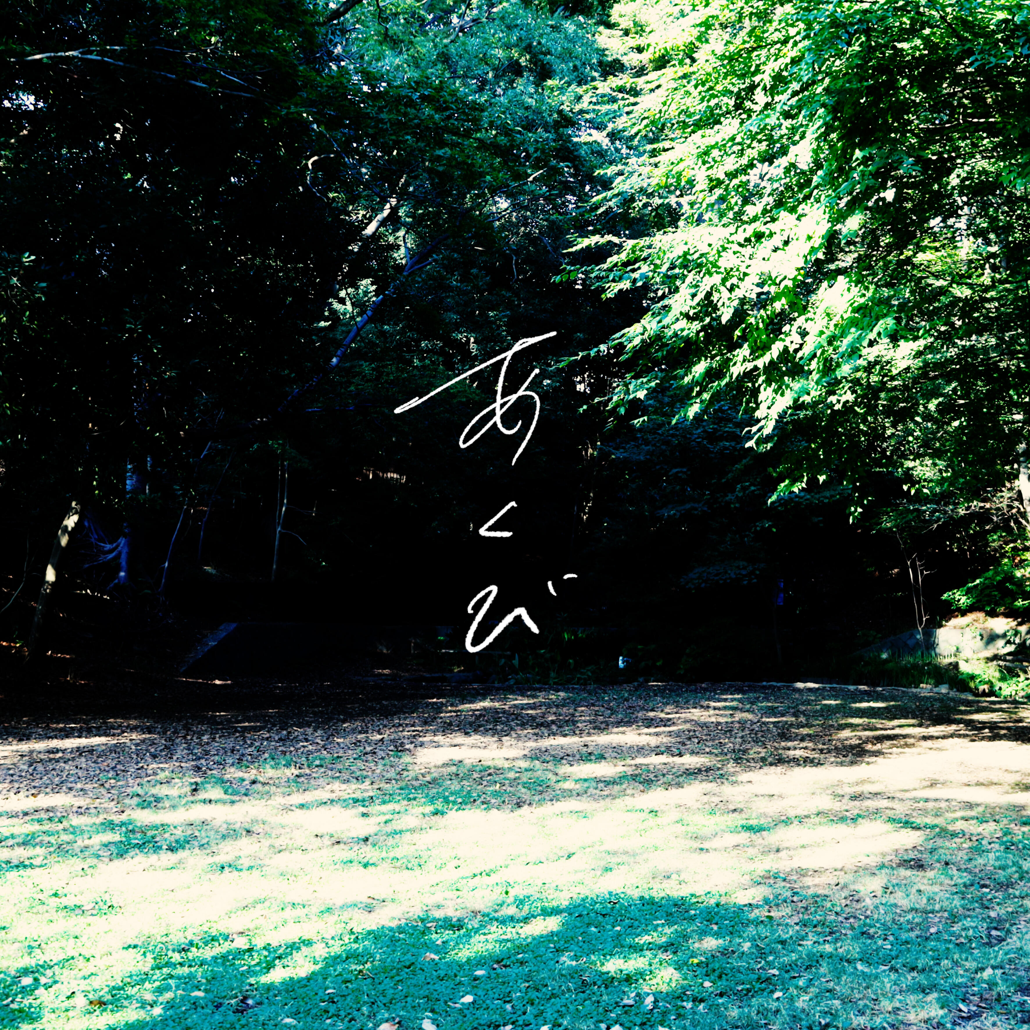 Track Image