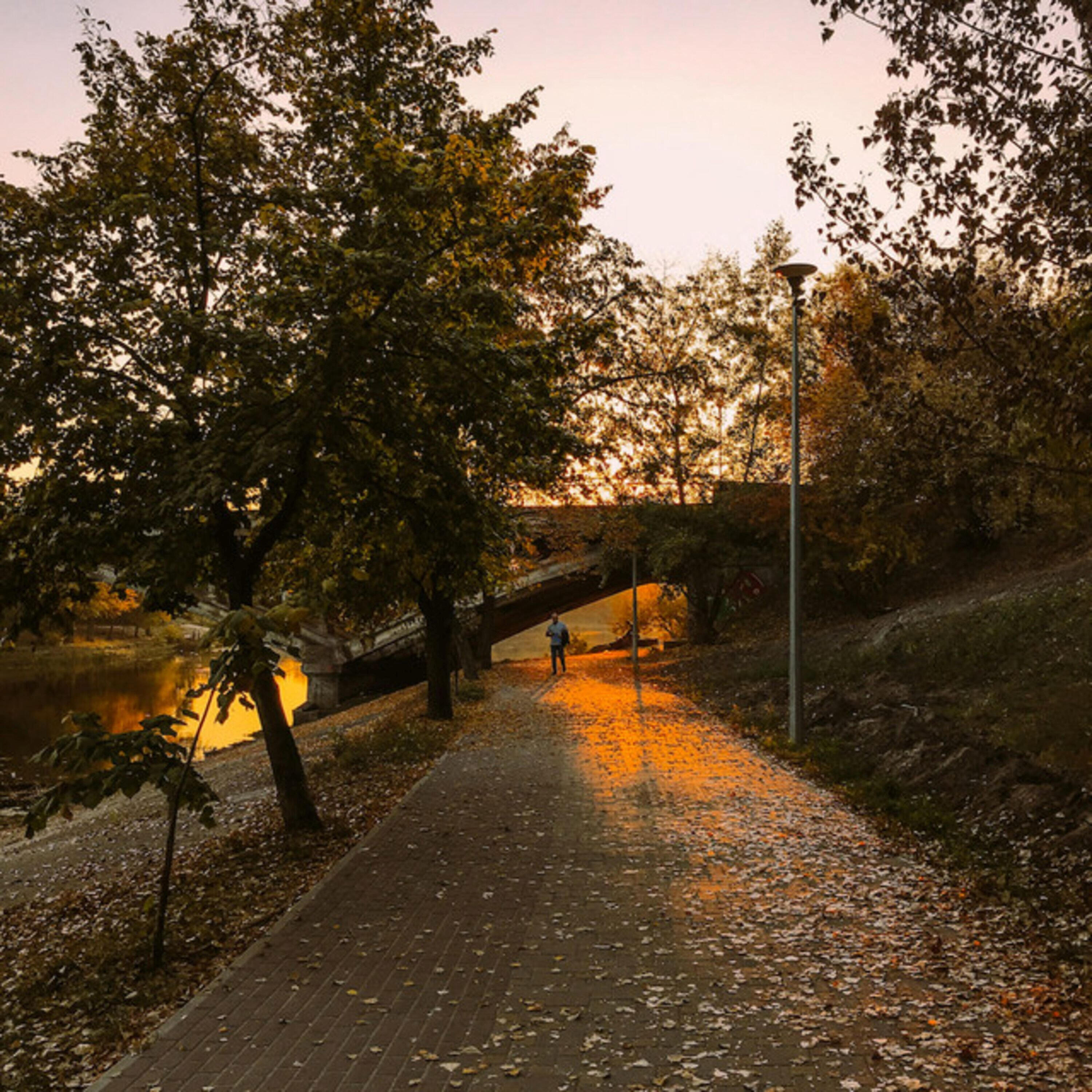 Track Image