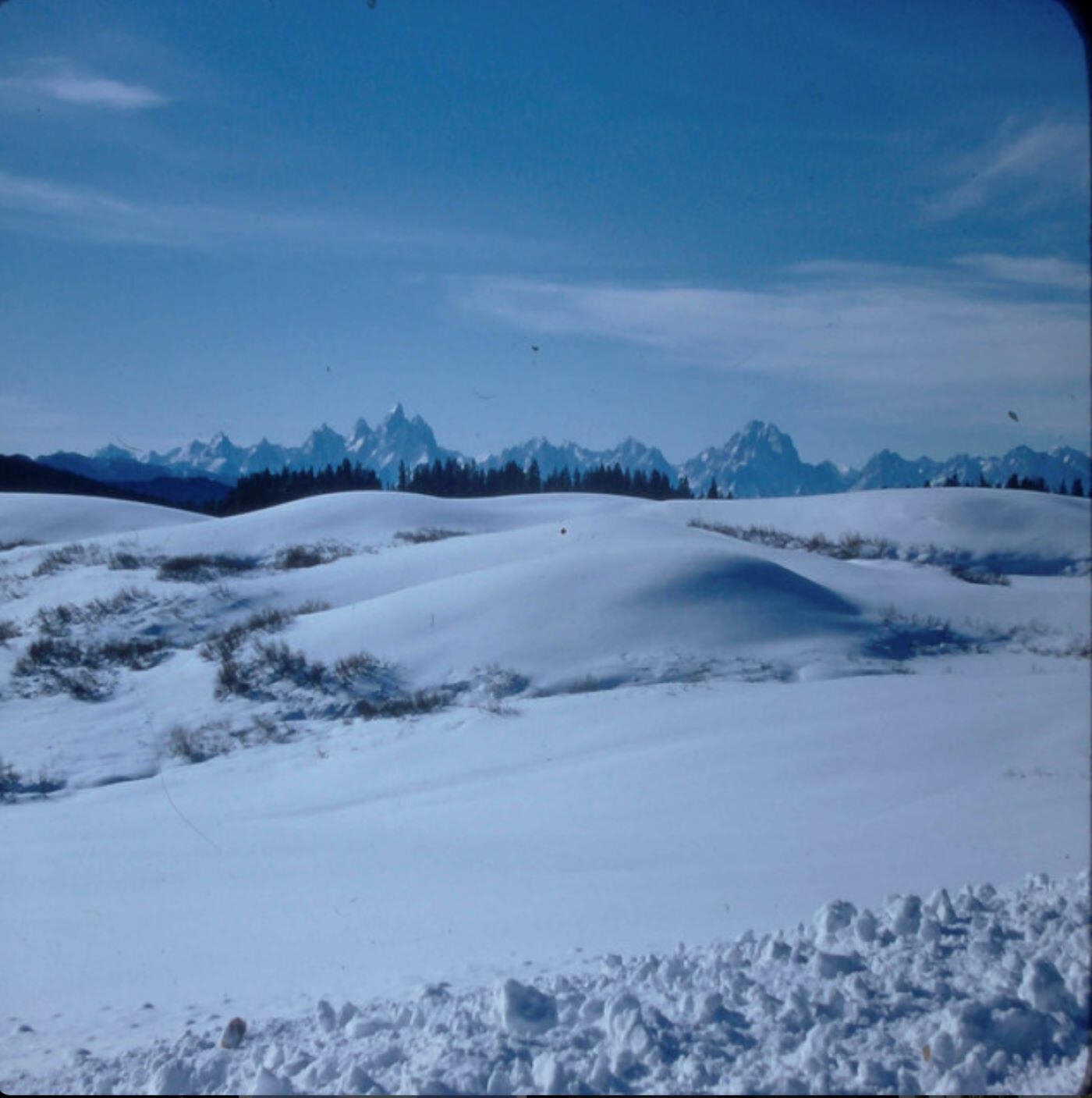 Track Image