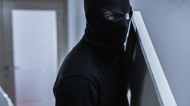 Over 1,000 Historical Artifacts Stolen In California Museum Heist