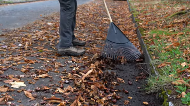 Portland's Leaf Day Starts Saturday