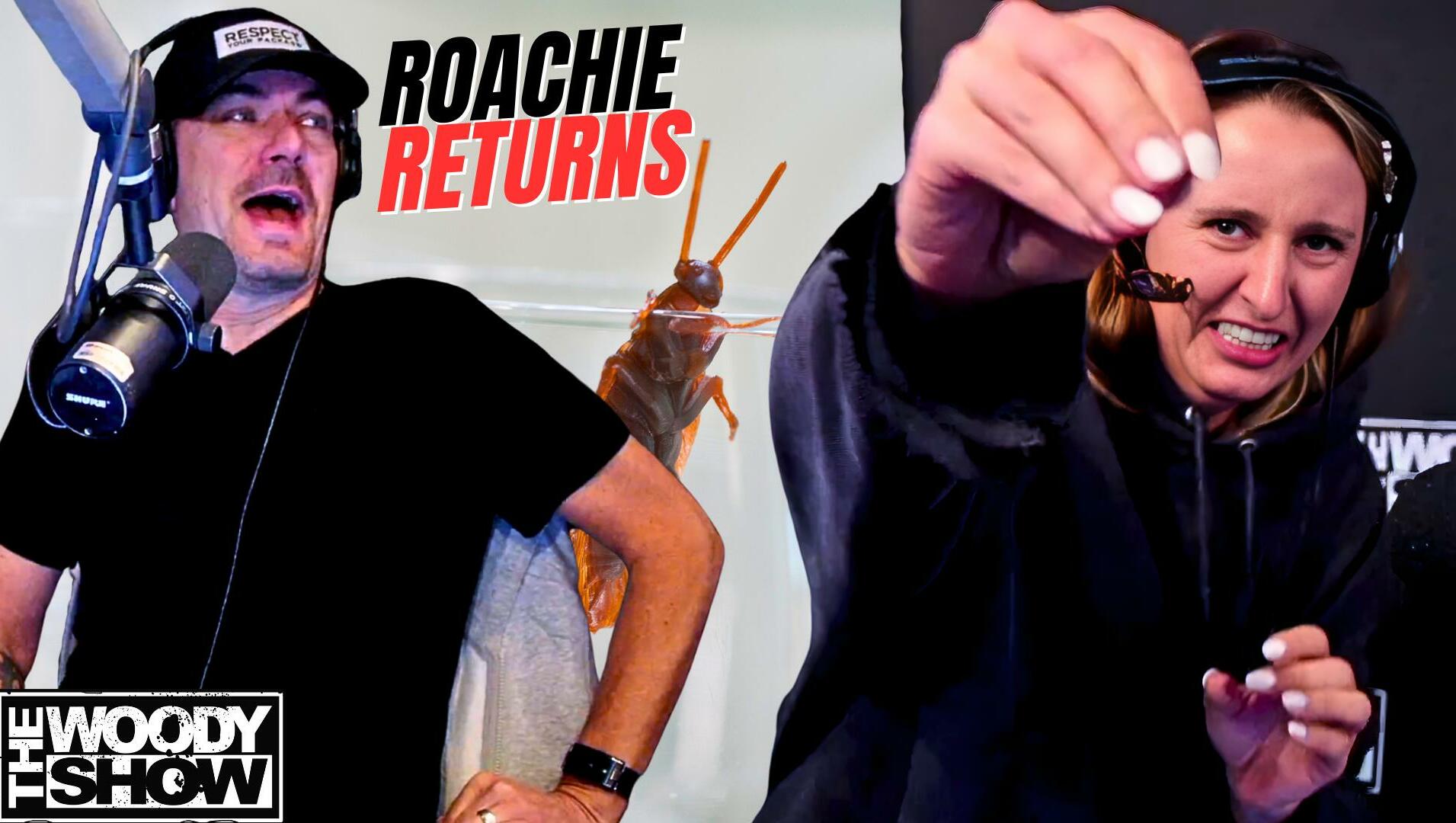Missing Roach Returns