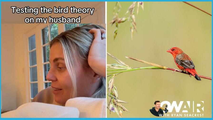 Listen to Us Test TikTok's Viral "Bird Theory" Relationship on Our Partners